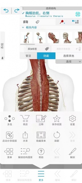 2026人体解剖学图谱app