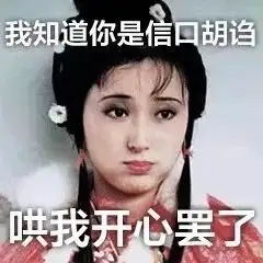 林黛玉文学式聊天语录