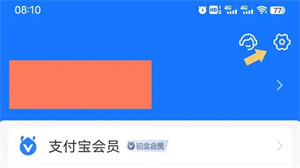 支付宝app