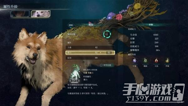 轮回之兽通关心得分享